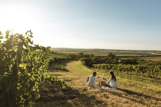 Bei Sonnenschein und warmen Temperaturen lässt es sich am angenehmsten picknicken., © Weinviertel Tourismus / Michael Reidinger