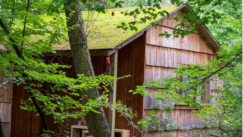 Außenansicht Hütte, © Ochys