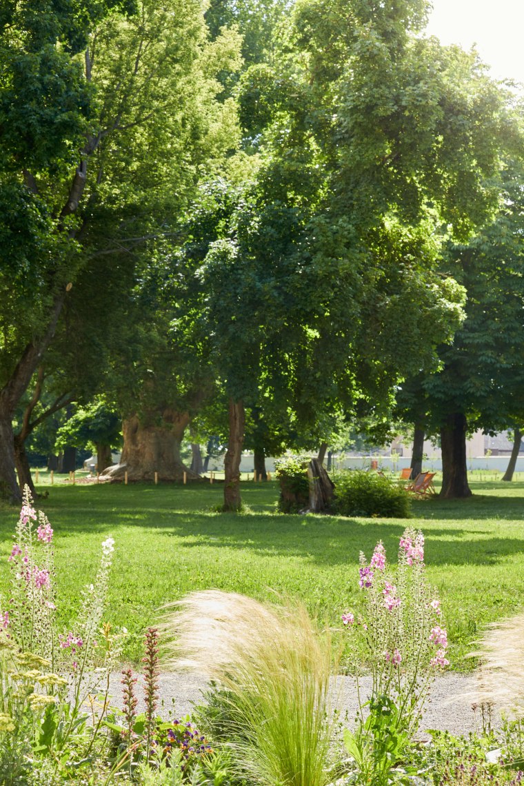 Schlosspark, © Rupert Pessl