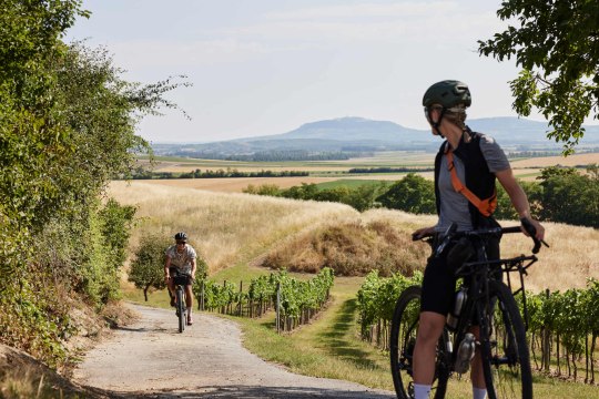 erkunden Sie die sanft-hügelige Landschaft, © Weinviertel Tourismus / Markus Frühmann