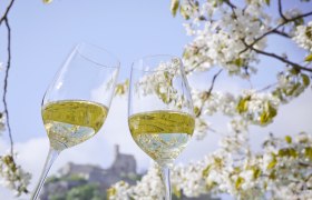 The joys of spring in the Weinviertel, © Weinstraßen Weinviertel