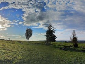 Tut Gut Schritteweg Kettlasbrunn, © Baumkreis Veltlinerland