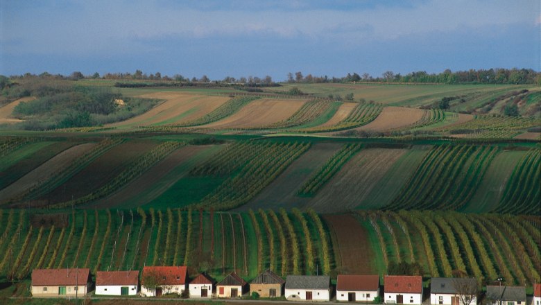 Kellergasse, © Weinstraße Südliches Weinviertel