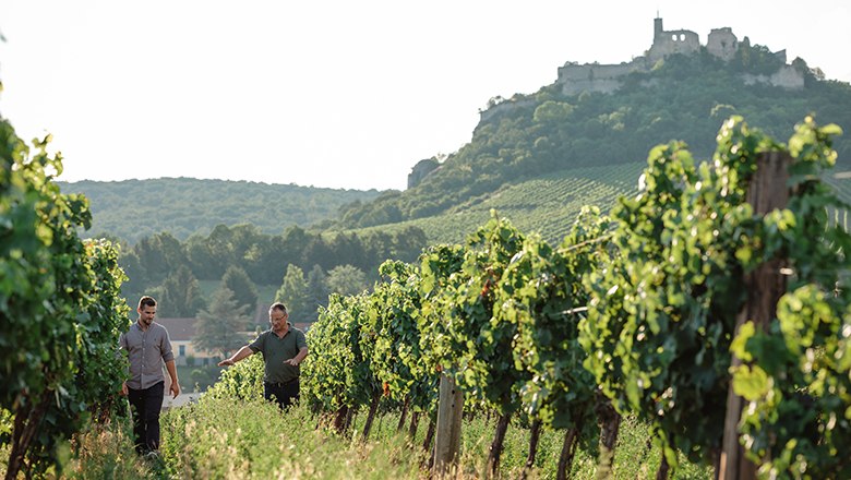 Weingut Kramer in Falkenstein, © Michael Reidinger