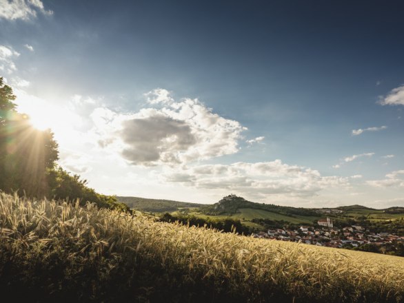 Weinort Falkenstein, © Michael Reidinger