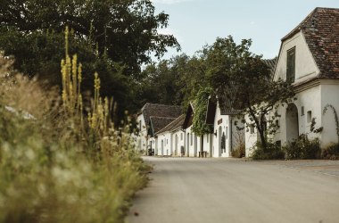 Kellergasse Rosenpoint, Mailberg, © Weinviertel Tourismus / Michael Reidinger