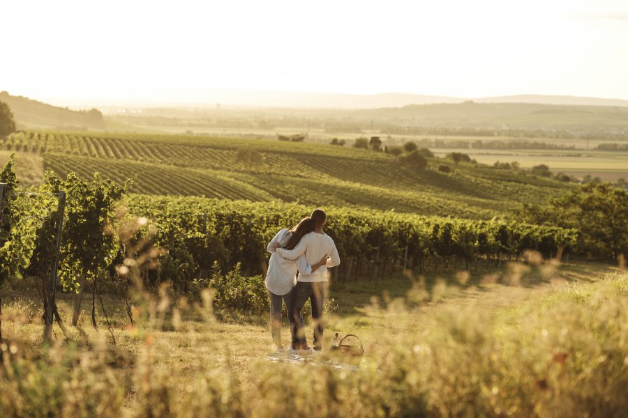 Ankommen, abschalten, genießen!, © Weinviertel Tourismus / Michael Reidinger