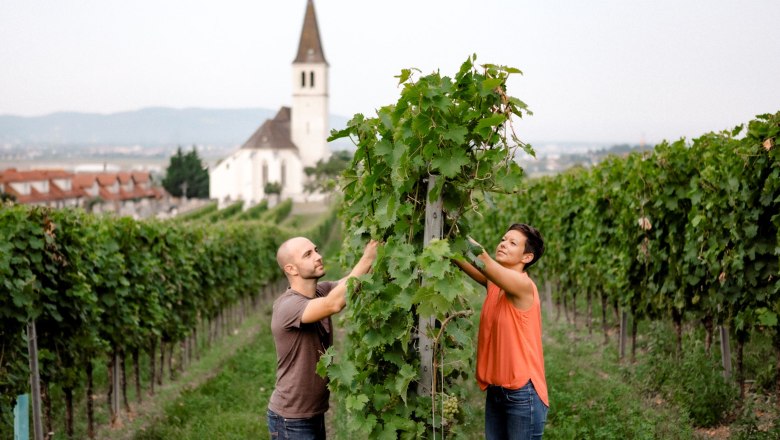 Weingut Jatschka, © Astrid Bartl