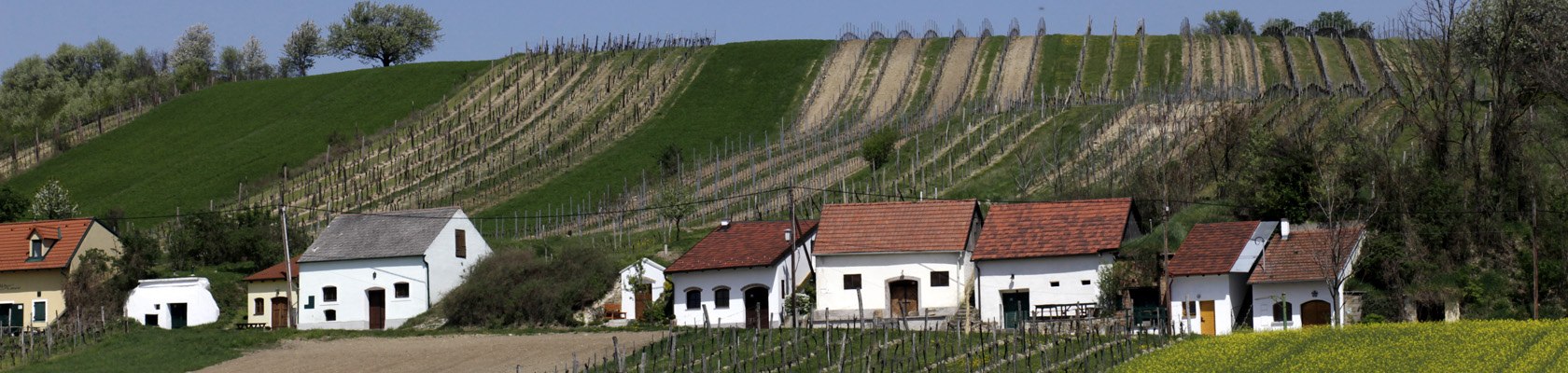 The joys of spring in the Weinviertel, © Weinviertel Tourismus / Christine Wurnig