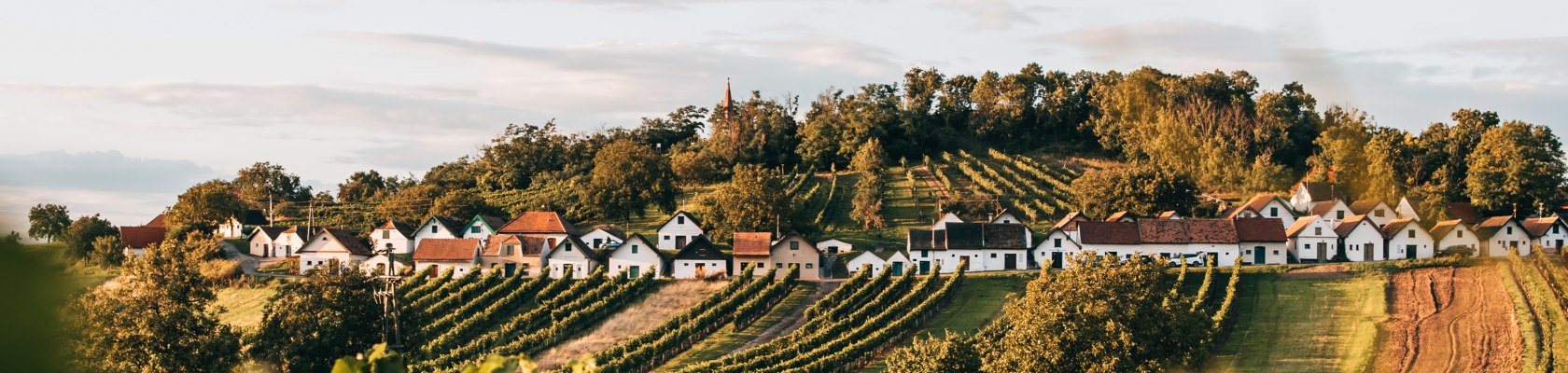 Kellergase Galgenberg in Wildendürnbach, © Niederösterreich Werbung / Romeo Felsenreich