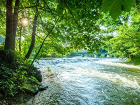 Grenzbrücke von Österreich und Tschechien im Nationalpark, © Retzer Land / Die Reisereporter