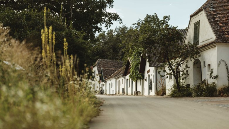 Kellergasse Rosenpoint in Mailberg, © Weinviertel Tourismus / Michael Reidinger