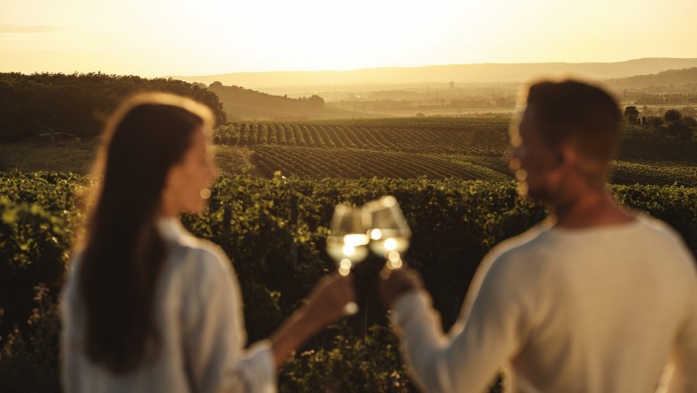 ... und die sanft-hügelige Weinlandschaft genießen., © Weinviertel Tourismus / Michael Reidinger