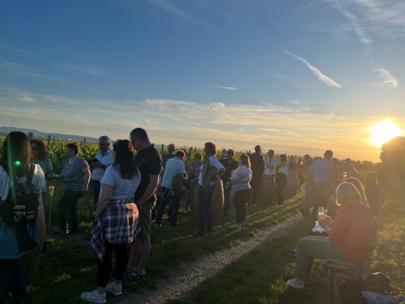 Sonnenuntergang, © Weingut Eichberger