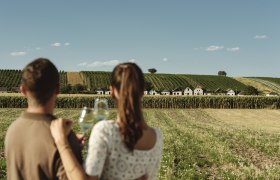 Urlaub und Ausflug zum Wein, © Weinviertel Tourismus / Michael Reidinger