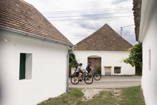 und malerischen Kellergassen:, © Weinviertel Tourismus / Markus Frühmann