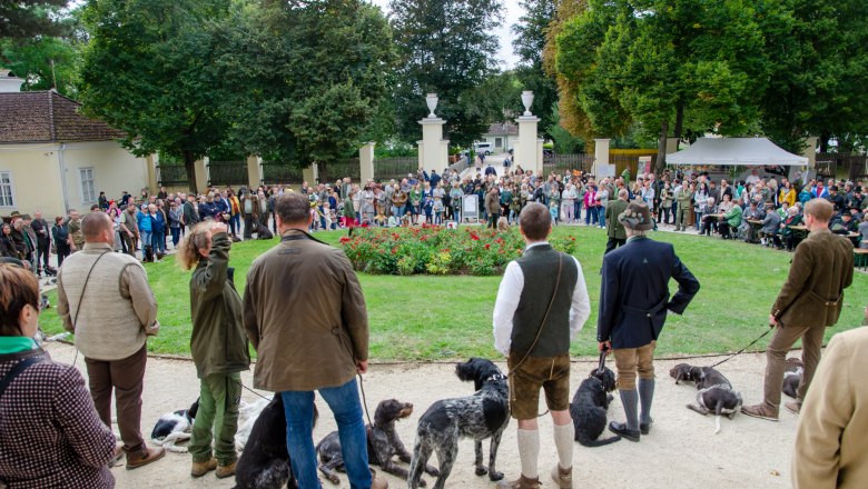 Hundevorführung , © Dorf- &amp; Stadterneuerung