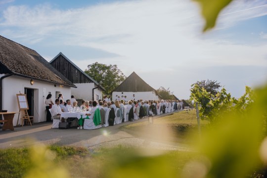 in malerischen Kellergassen oder, © Weinviertel Tourismus / Sophie Menegaldo