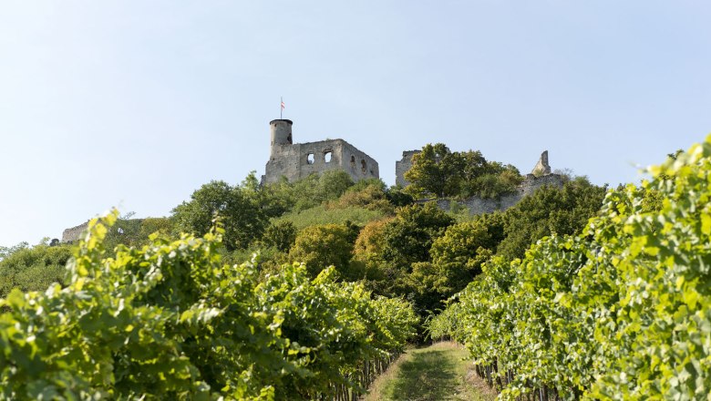 Burgruine Falkenstein, © Michael Himml