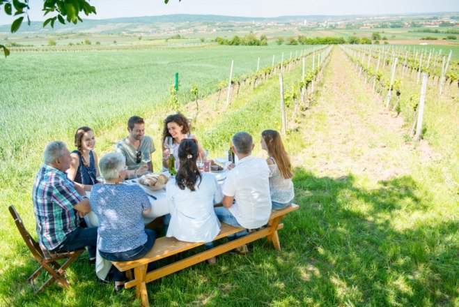 Frühling im Weinviertel, © MartinLifkaPhotography