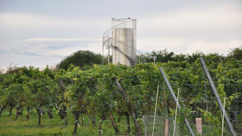 Weinviertelwarte, © Gemeinde Röschitz