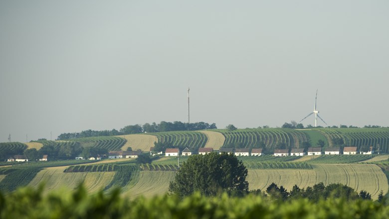 Kellergasse "Alte Geringen", © Michael Himml