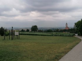 Baumkreis Kettlasbrunn, © Weinviertel Tourismus