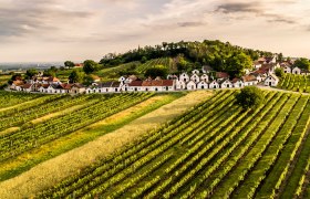 Kellergasse Galgenberg in Wiledendürnbach, © Niederösterreich Werbung / Robert Herbst