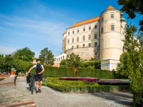 Ein Abstecher nach Mikulov zahlt sich aus, © Weinviertel Tourismus / POV Robert Herbst