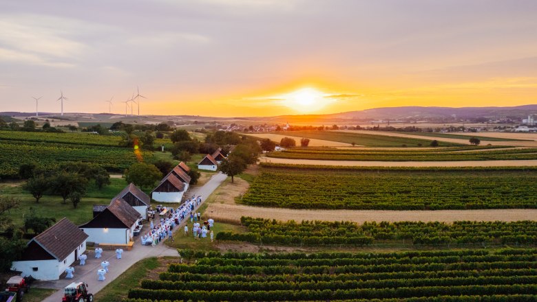 Die sanft-hügelige Landschaft des Weinviertels wird zur Bühne., © Weinviertel Tourismus / Sophie Menegaldo