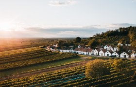 Kellergasse Galgenberg, Wildendürnbach, © Weinviertel Tourismus / Romeo Felsenreich