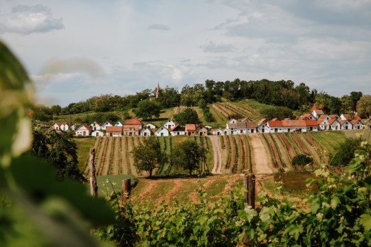 am Galgenberg in Wildendürnbach, © Niederösterreich Werbung / Nina Skalikova