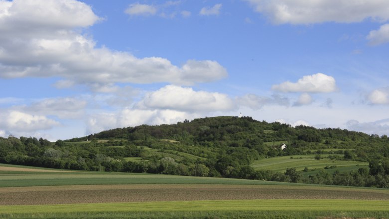 Niederhollabrunn, © Mag. (FH) Lea Seidl