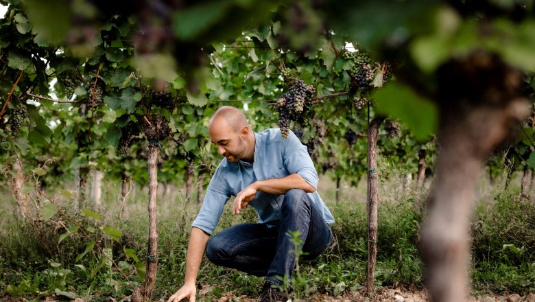 Weingut Jatschka, © Astrid Bartl