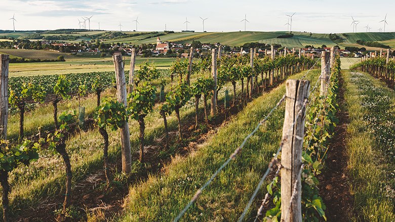 Eibesthal, © Michael Reidinger