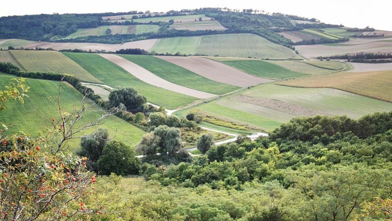 Blaue Wand, Hornmelde, © Marktgemeinde Stronsdorf