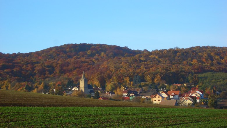 Ansicht Michelstetten, © Karl Kummernecker