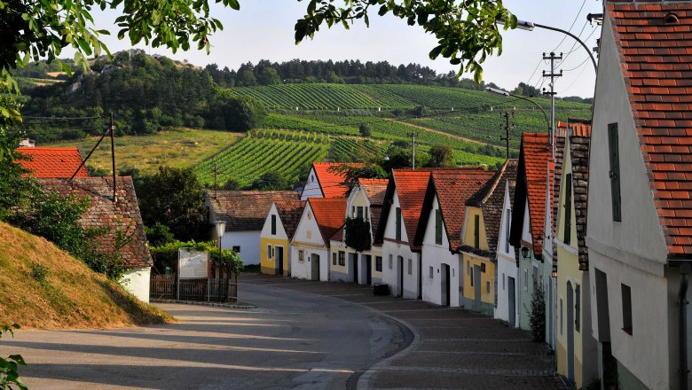 Kellergasse Oagossn in Falkenstein, © Weinviertel Tourismus / Mandl