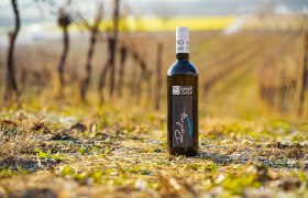 Bio-Weingut Stix, © Bio-Weingut Stix