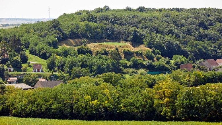 Der Hausberg von Gaiselberg ist im Gelände eindrucksvoll zu sehen, © Peter Ableidinger, Archiv Krahuletz-Museum