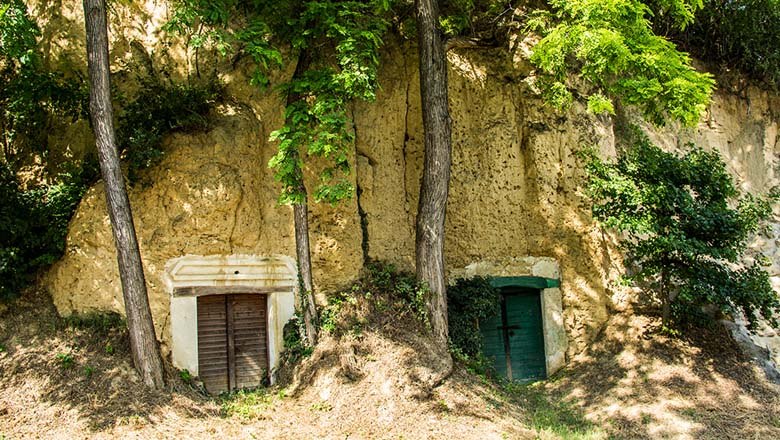 Weinviertler Kellergassenkulinarium, © Weinstraße Veltlinerland