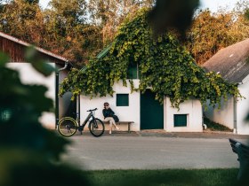 Die Mailberger Kellergasse lädt zu einer gelassenen Pause ein, © Niederösterreich Werbung / Romeo Felsenreich