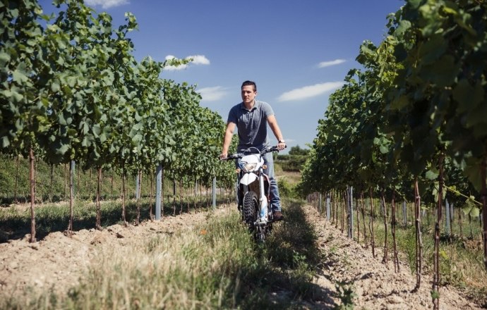 Weingut Baier, © Ideenladen Krems