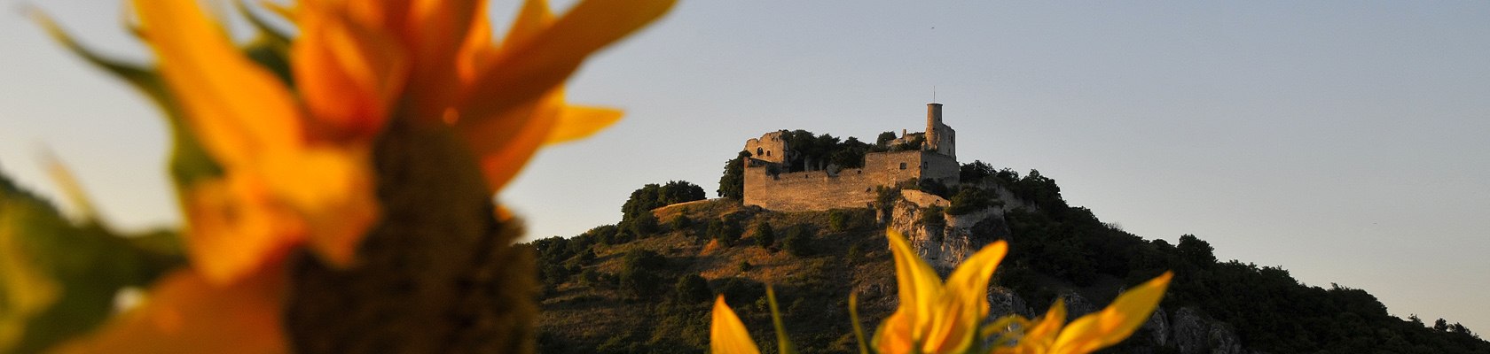 Summer, sun and sunshine, © Weinviertel Tourismus / Mandl