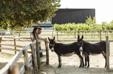 Tierischer Ausflug, © Weinviertel Tourismus / Michael Reidinger