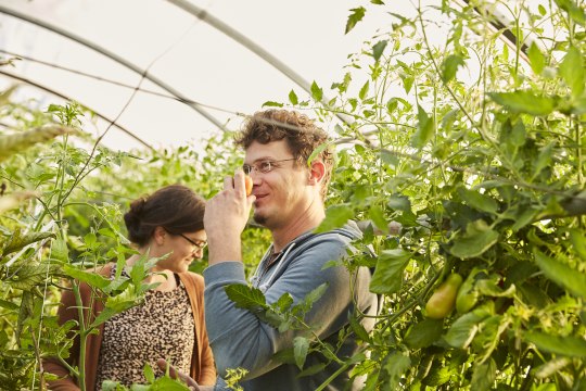 Die Weinviertler Produzenten und, © Weinviertel Tourismus / Michael Liebert