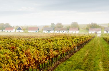 Discover the Weinviertel’s cellar lanes, © Niederösterreich Werbung / Michael Liebert