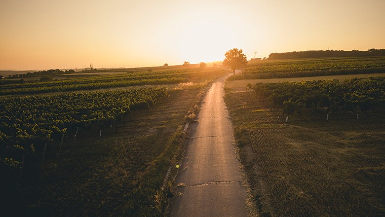 Genießen Sie einen unvergesslichen Sonnenuntergang, © Weingut Weinwurm / Michael Reidinger