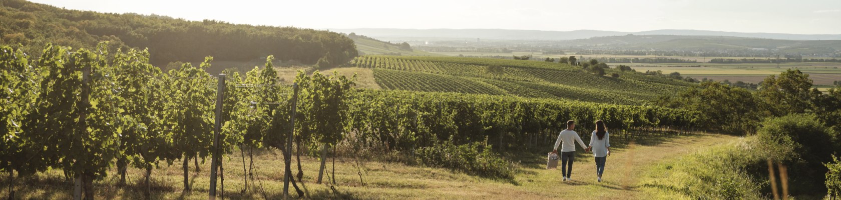 Picknick im Weinviertel genießen, © Weinviertel Tourismus / Michael Reidinger