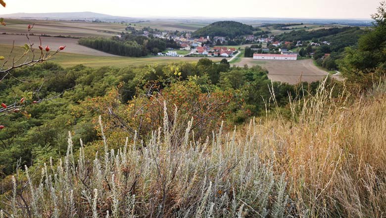 Blaue Wand, Hornmelde, © Marktgemeinde Stronsdorf